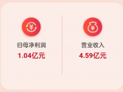 营收4.59亿元，同比增长9.53%，<span class=